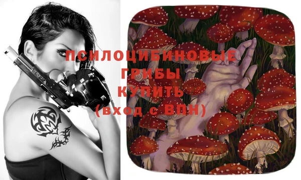 амф Абаза